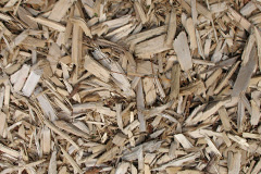 biomass boilers Skyreburn